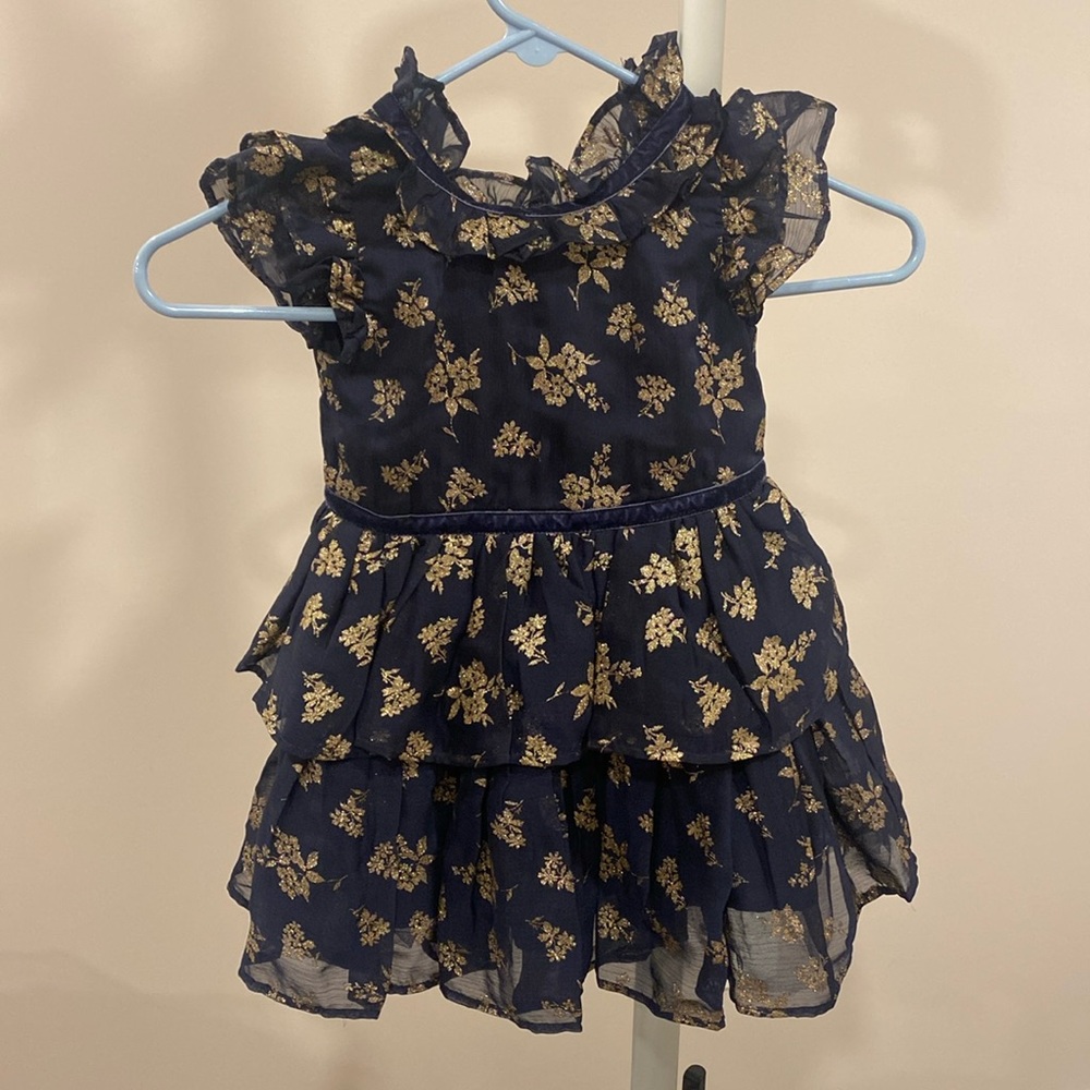 size 2T dress Janie and Jack